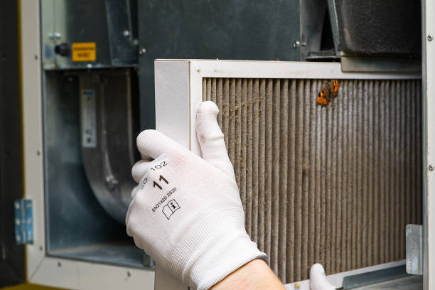 Best HVAC System Cleaning  in Gillett, WI